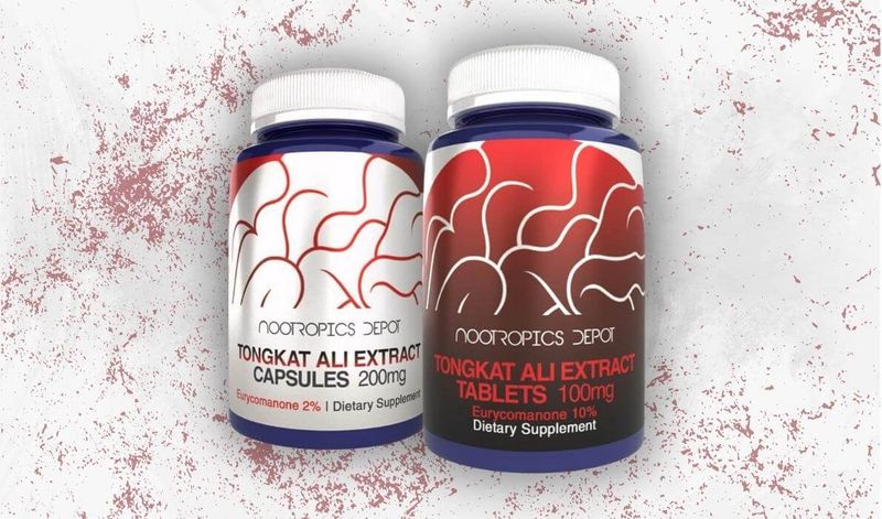 Tongkat Ali Nootropics Depot Review Honest Experience